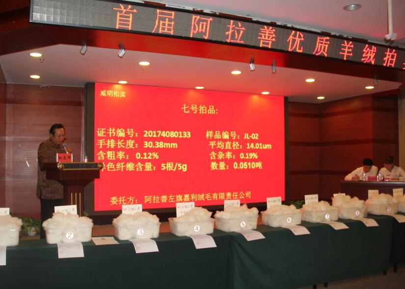 創(chuàng)新引領(lǐng)未來，品質(zhì)鑄就輝煌 首屆阿拉善優(yōu)質(zhì)羊絨拍賣會盛大舉行