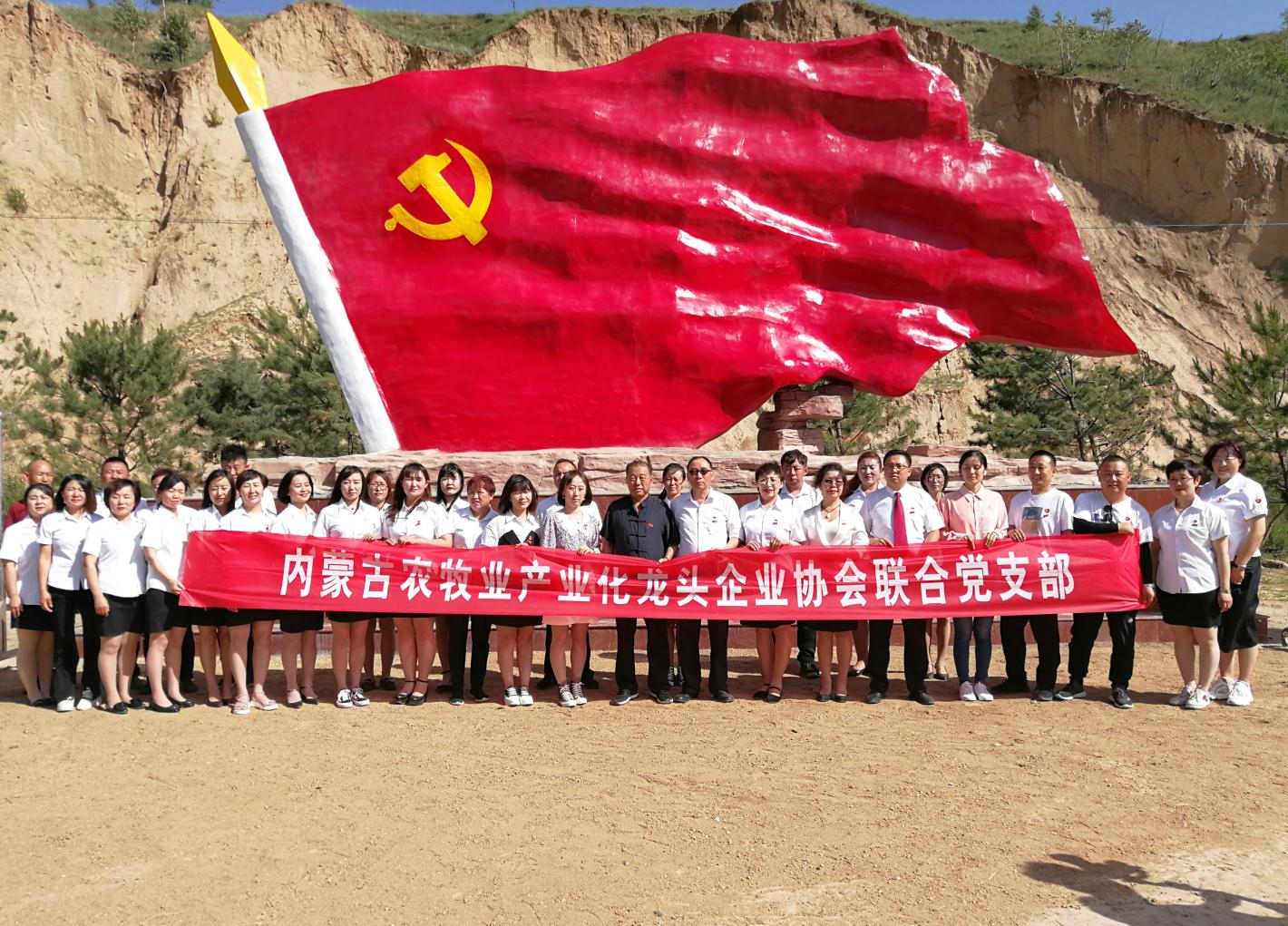 內(nèi)蒙古農(nóng)牧業(yè)產(chǎn)業(yè)化龍頭企業(yè)協(xié)會走進石人灣村開展“辦實事、解難題，送溫暖，傳黨恩”公益活動
